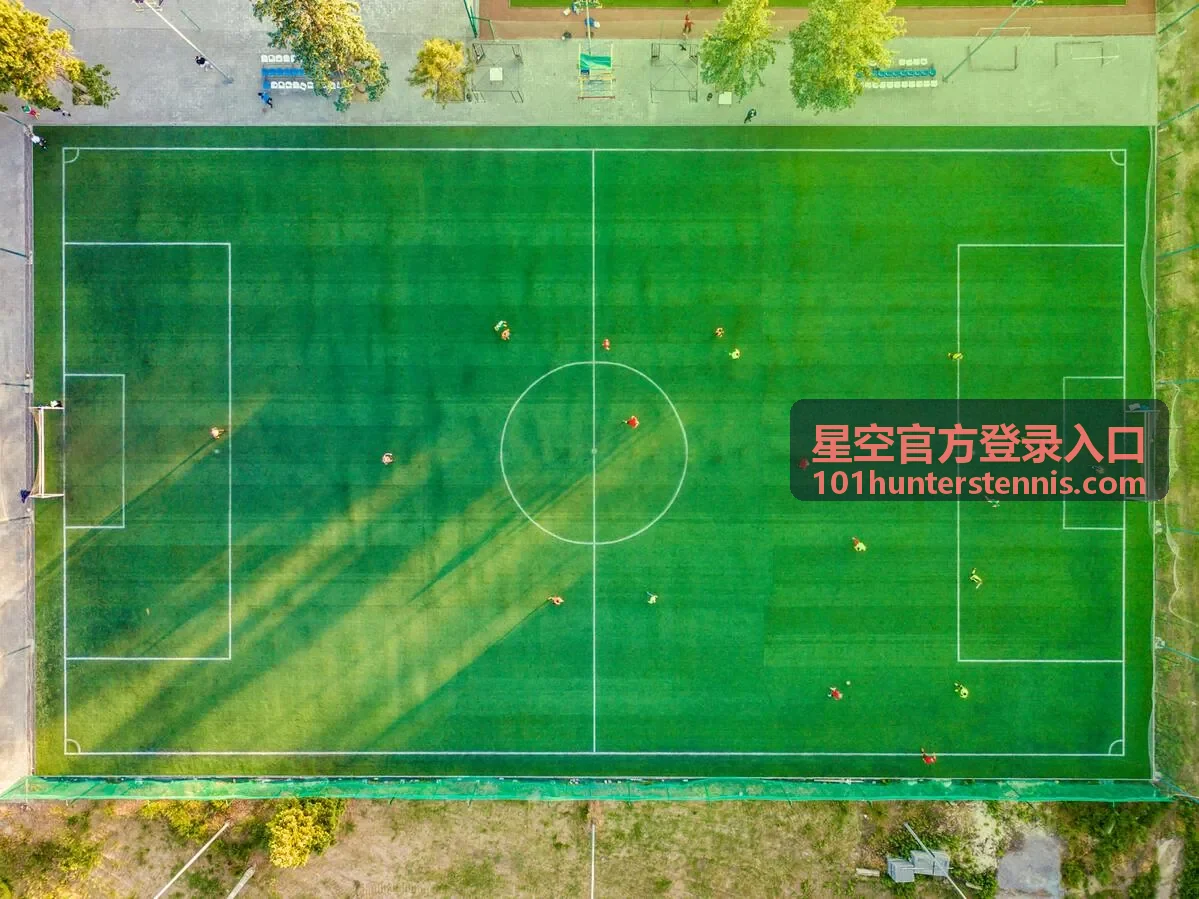 星空官方登录入口手机与邮箱绑定信息管理示意